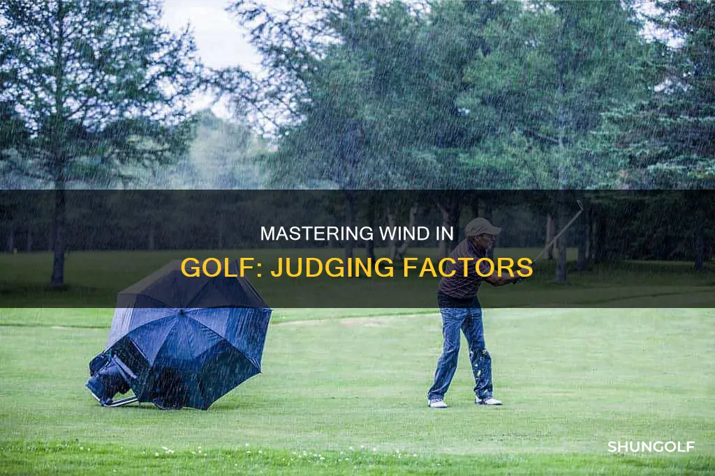 how to judge wind in golf