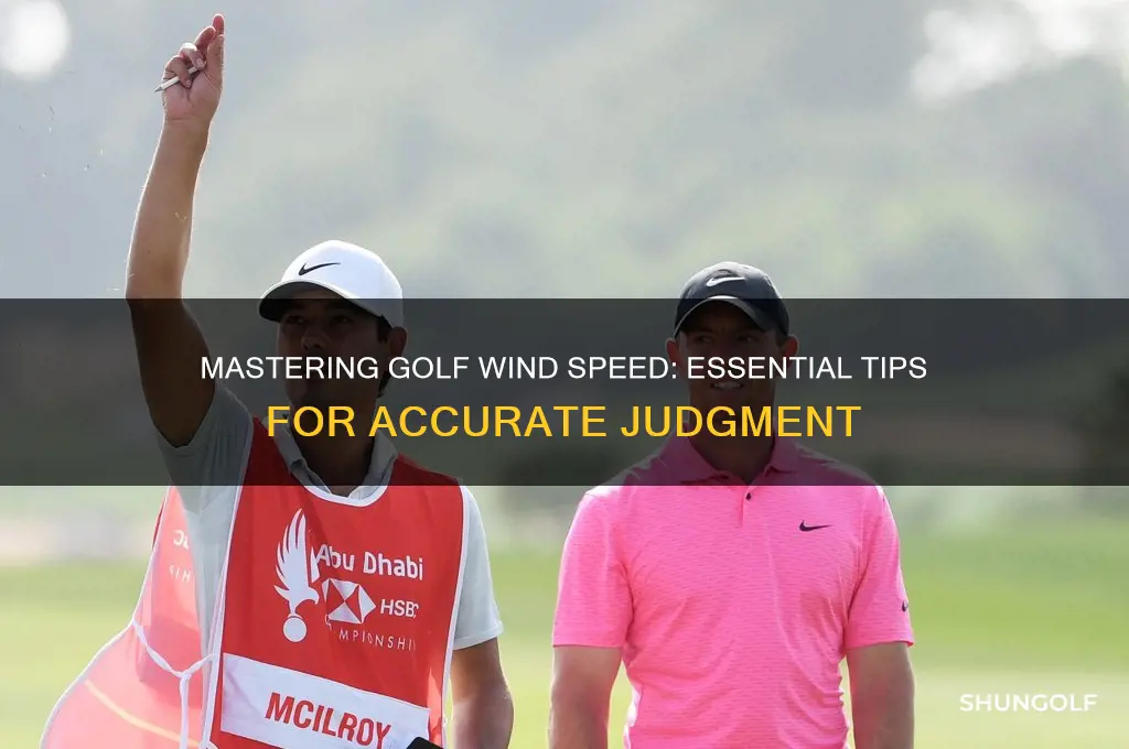 how to judge wind speed in golf