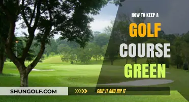 Sustainable Practices for Maintaining a Lush, Vibrant Golf Course Green