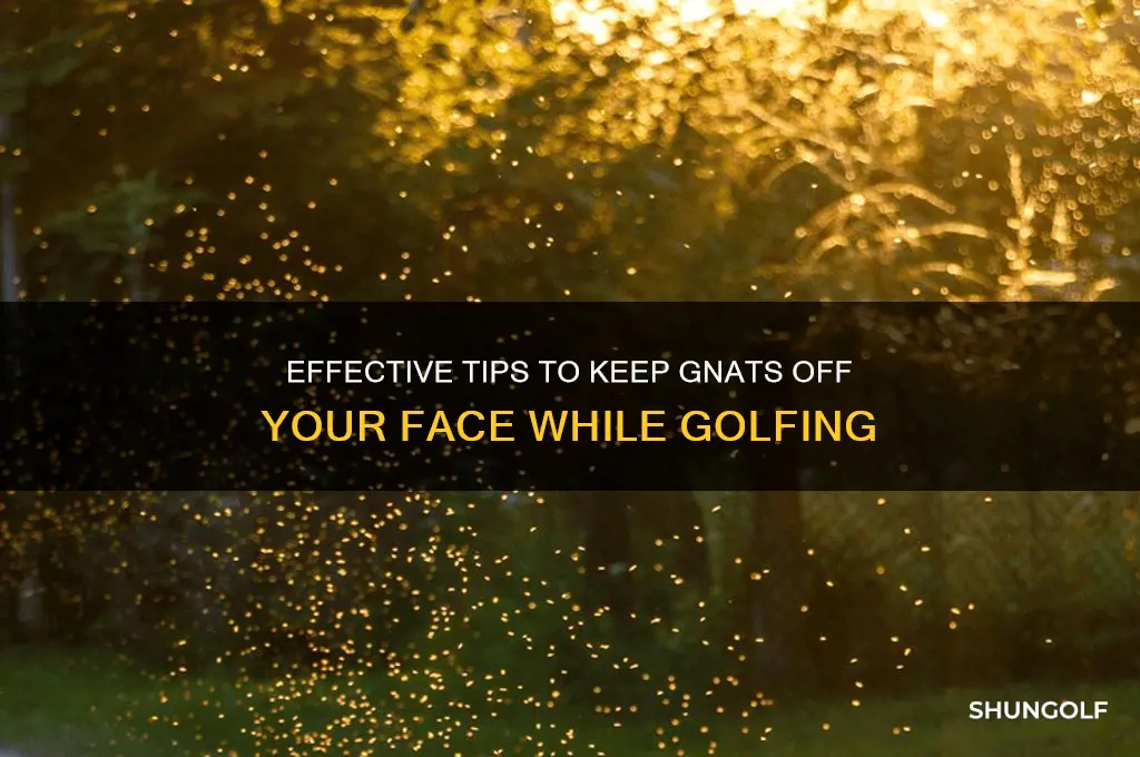 how to keep gnats away from your face while golfing