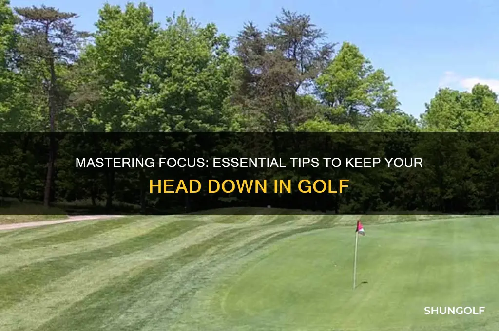how to keep your head down playing golf