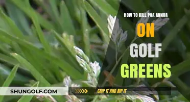 Effective Strategies to Eradicate Poa Annua from Golf Greens