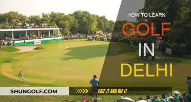 Golfing in Delhi: A Beginner's Guide