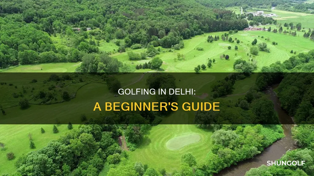 how to learn golf in delhi