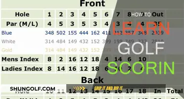 Golf Scoring Basics: Learn to Count Like a Pro