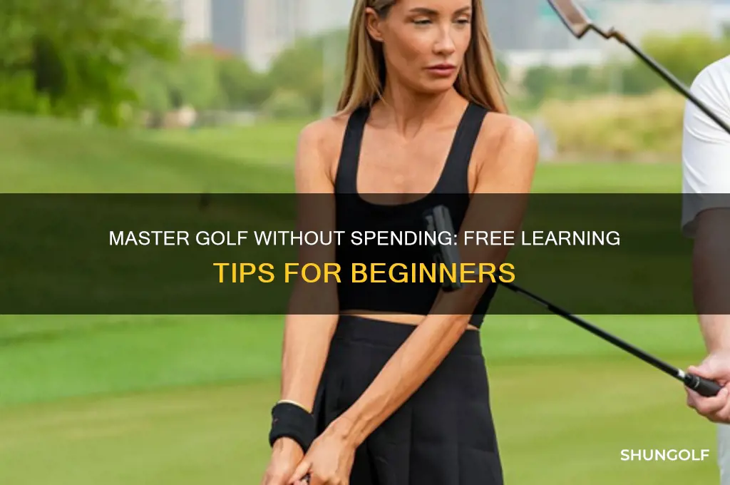 how to learn to play golf for free