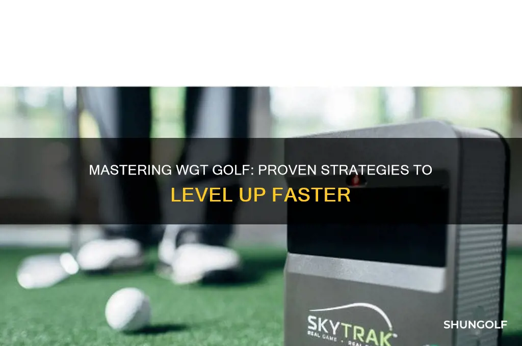 how to level up in wgt golf