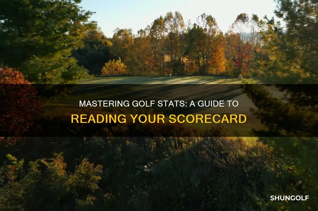 how to look at golf stats on scorecard