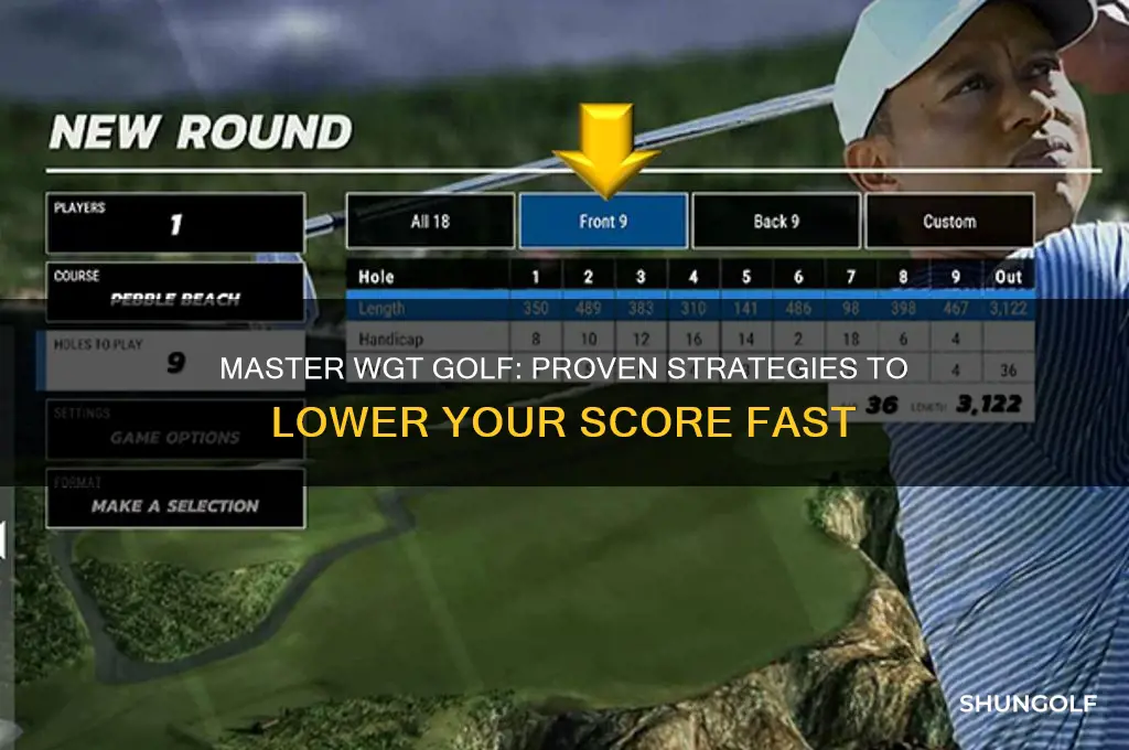 how to lower your score on wgt golf