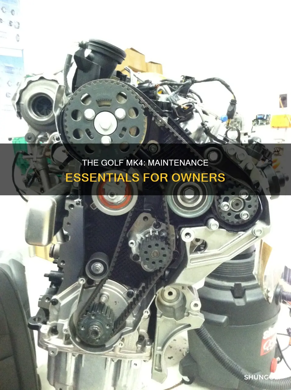 how to maintain a golf mk4