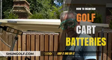 Essential Tips for Prolonging the Life of Your Golf Cart Batteries