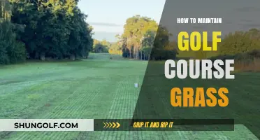 Mastering Golf Course Turf: Essential Tips for Healthy Greens Maintenance