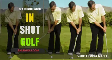 Mastering the Chip-In Shot: A Golfer's Guide to Precision and Control