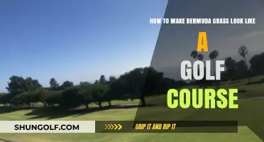 Achieve Golf Course Perfection: Expert Tips for Pristine Bermuda Grass