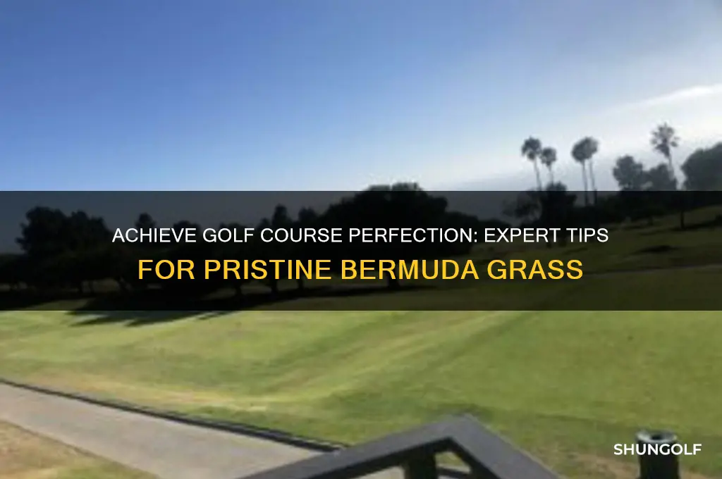how to make bermuda grass look like a golf course