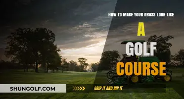 Achieve a Perfect Lawn: Golf Course-Worthy Grass Care Tips