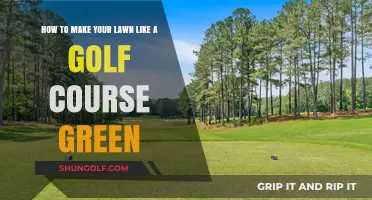 Achieve a Golf Course Green Lawn: Expert Tips for Lush Perfection