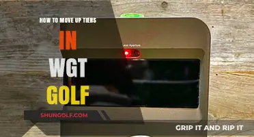Mastering WGT Golf: Strategies to Climb Tiers and Dominate the Course