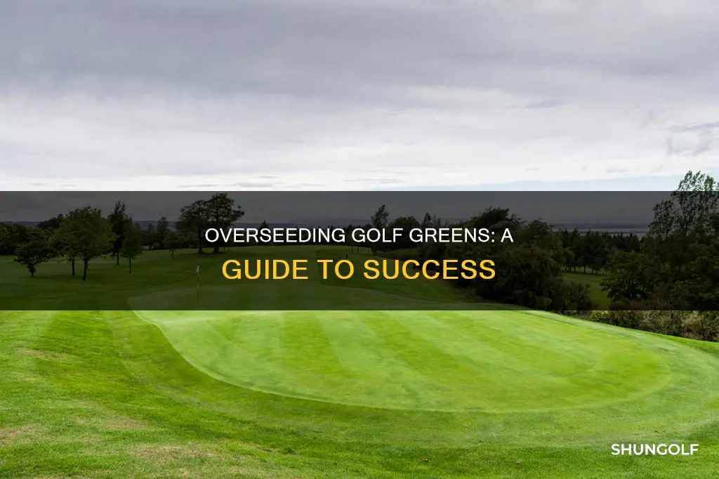 how to overseed golf greens