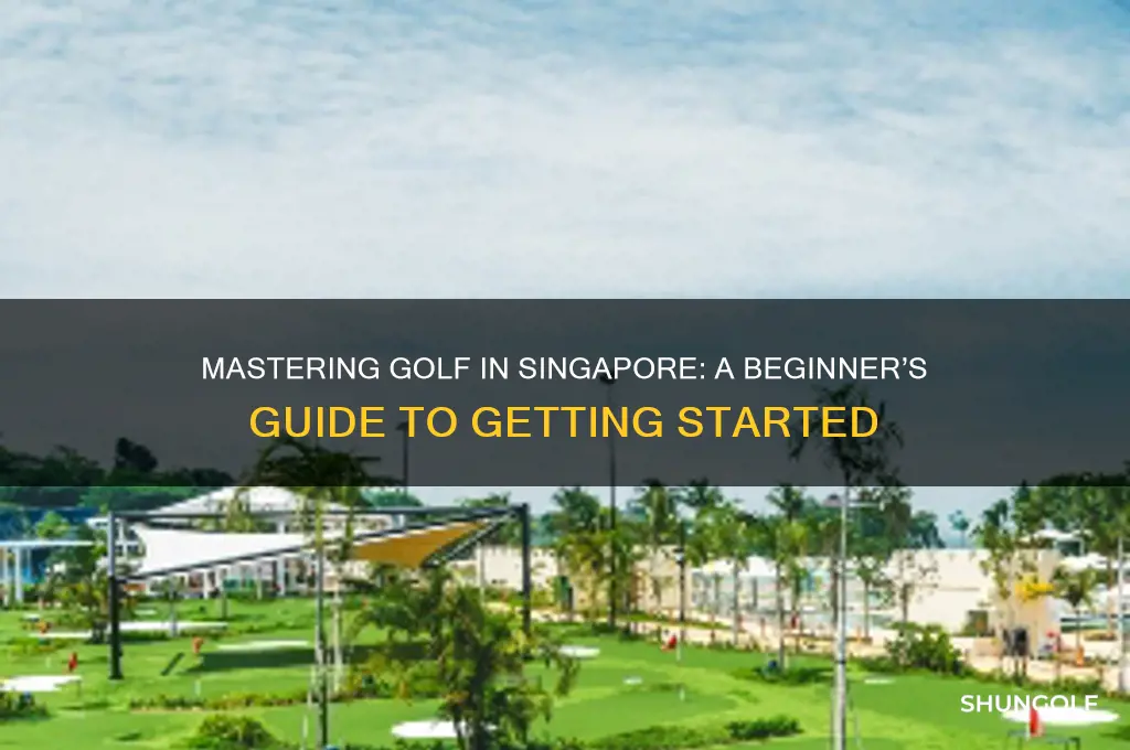 how to pick up golf in singapore