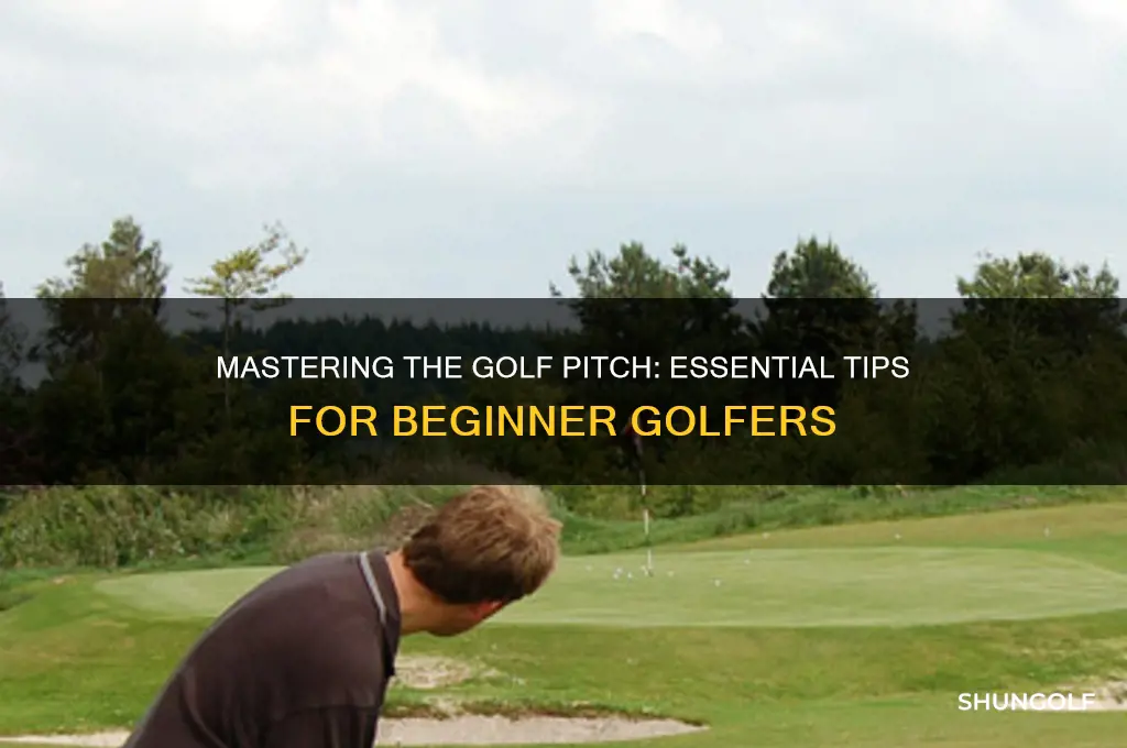 how to pitch in golf for beginners