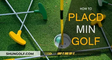 Mastering Mini Golf: Secrets to Success on the Course