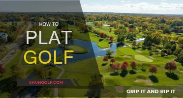 Golf Basics: Perfect Your Swing and Score