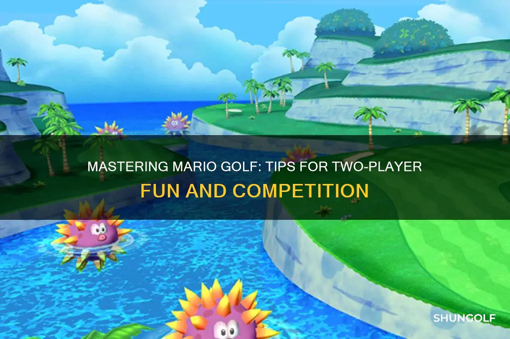 how to play 2 player on mario golf