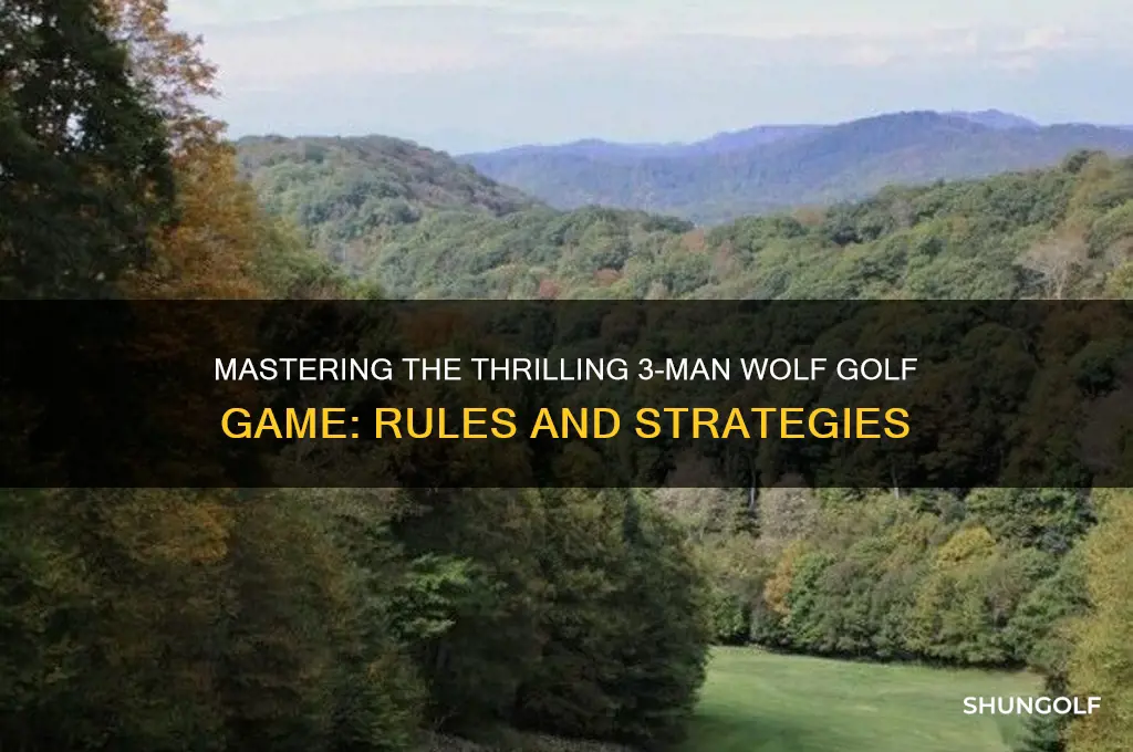 how to play 3 man wolf golf