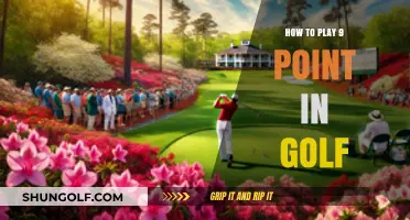 Mastering the 9-Point Golf Game: Rules, Strategies, and Winning Tips