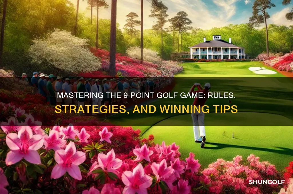 how to play 9 point in golf