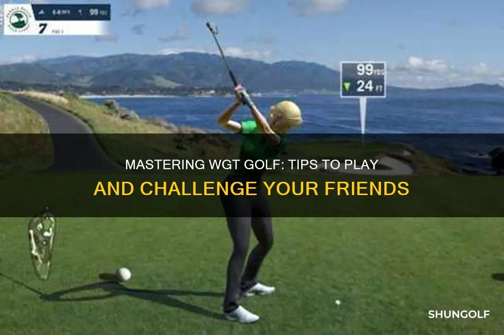 how to play a friend in wgt golf