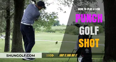 Mastering the Low Punch Shot: A Golfer's Guide to Precision and Control