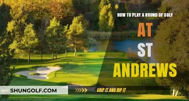 Mastering the Historic Fairways: A Guide to Playing St Andrews Golf