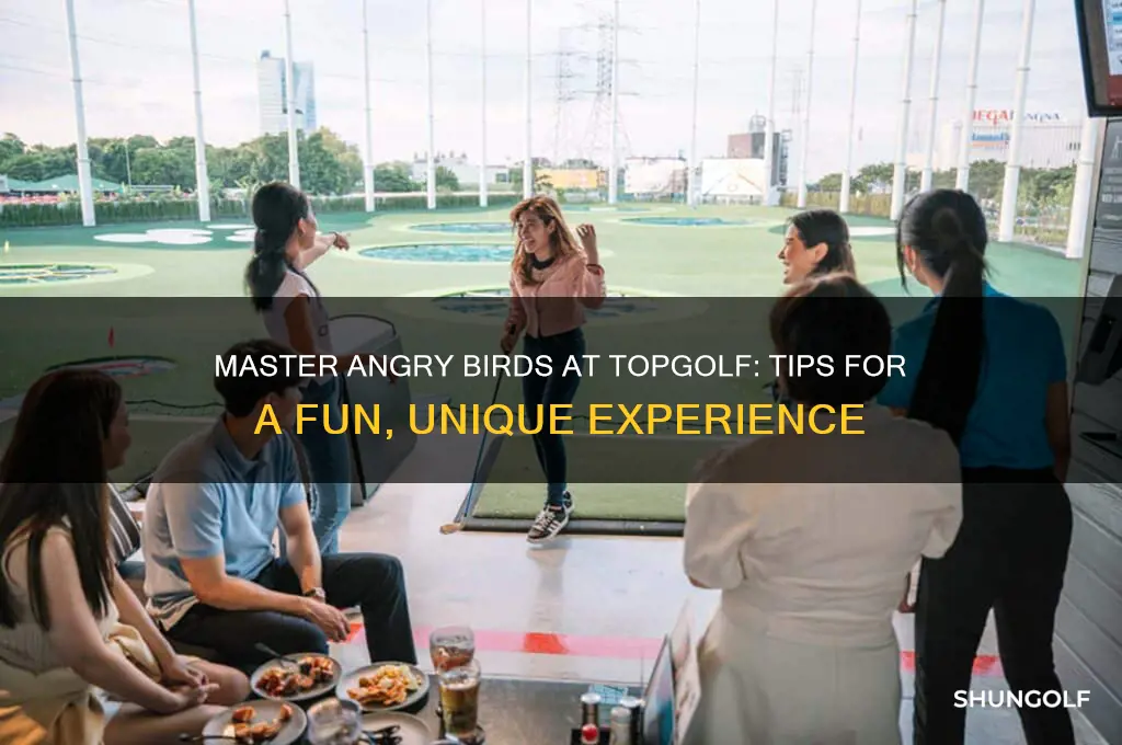 how to play angry birds at top golf