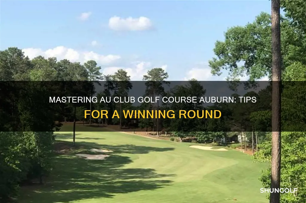 how to play au club golf course auburn