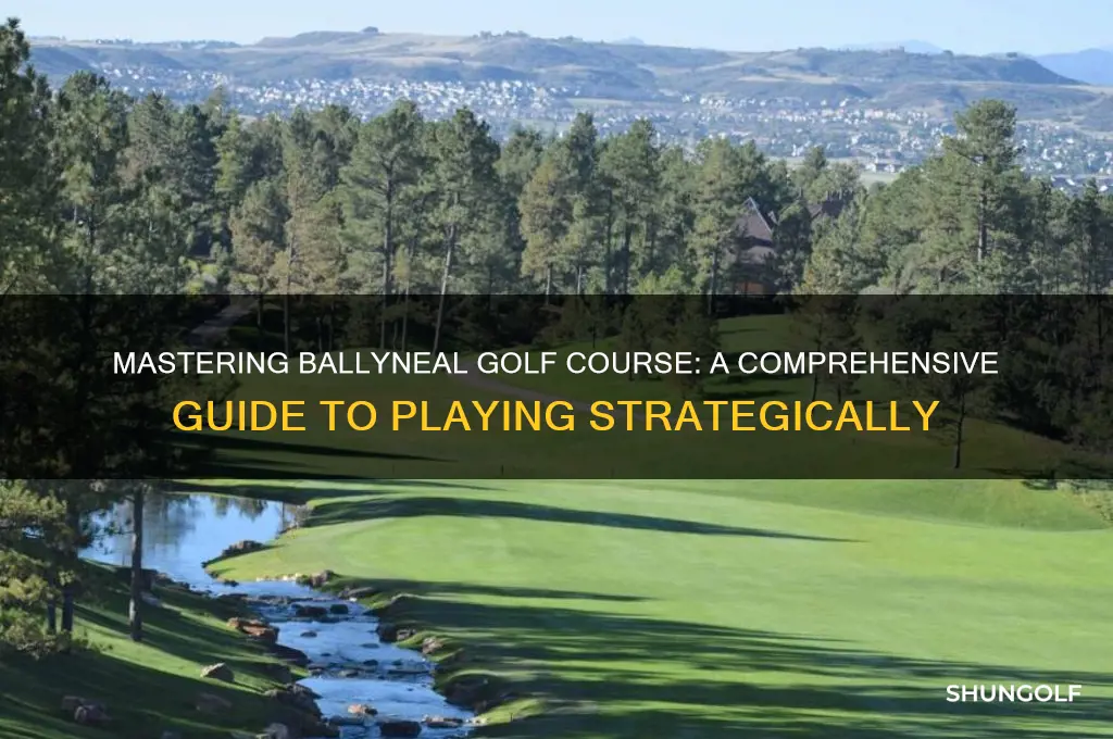 how to play ballyneal golf course