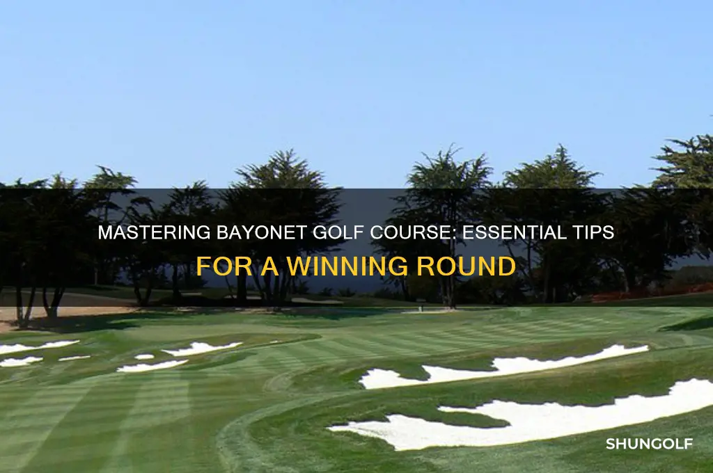 how to play bayonet golf course