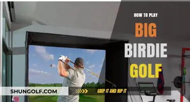 Mastering Big Birdie Golf: Tips, Techniques, and Strategies for Success