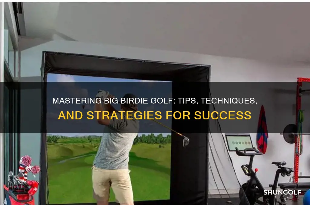 how to play big birdie golf