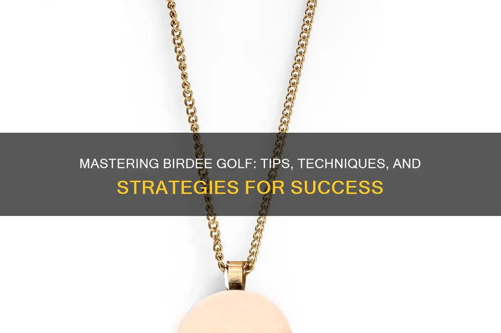 how to play birdee golf