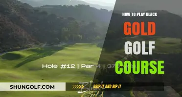 Mastering Black Gold Golf Course: Tips, Strategies, and Course Insights