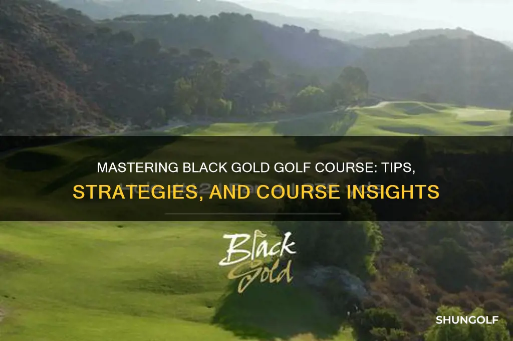 how to play black gold golf course