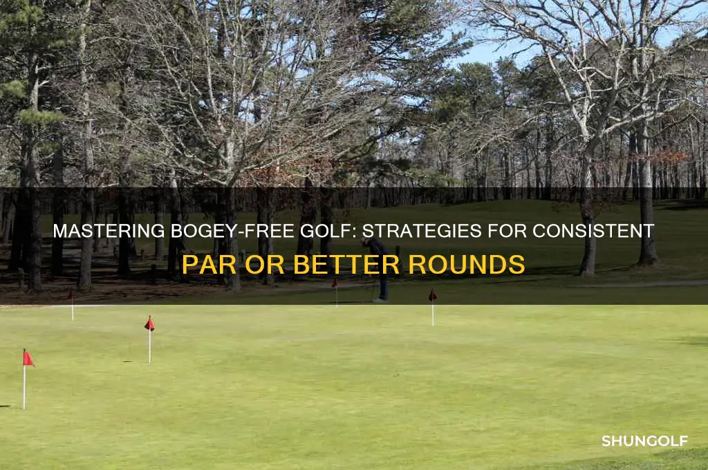 how to play bogey free golf