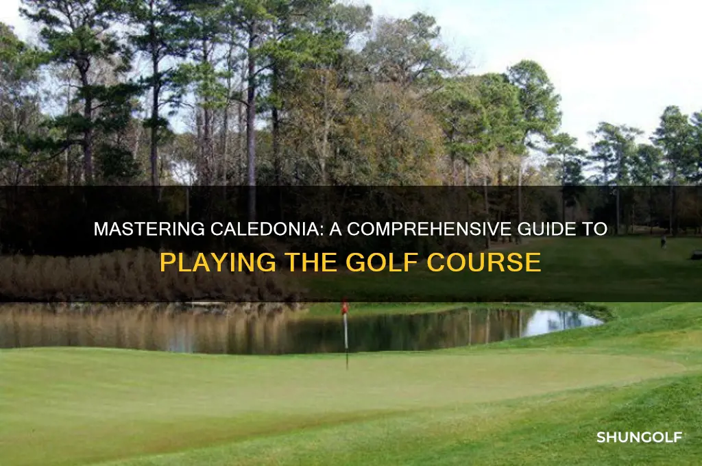 how to play caledonia golf course