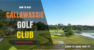 Mastering Callawassie Golf Club: Tips for a Winning Round