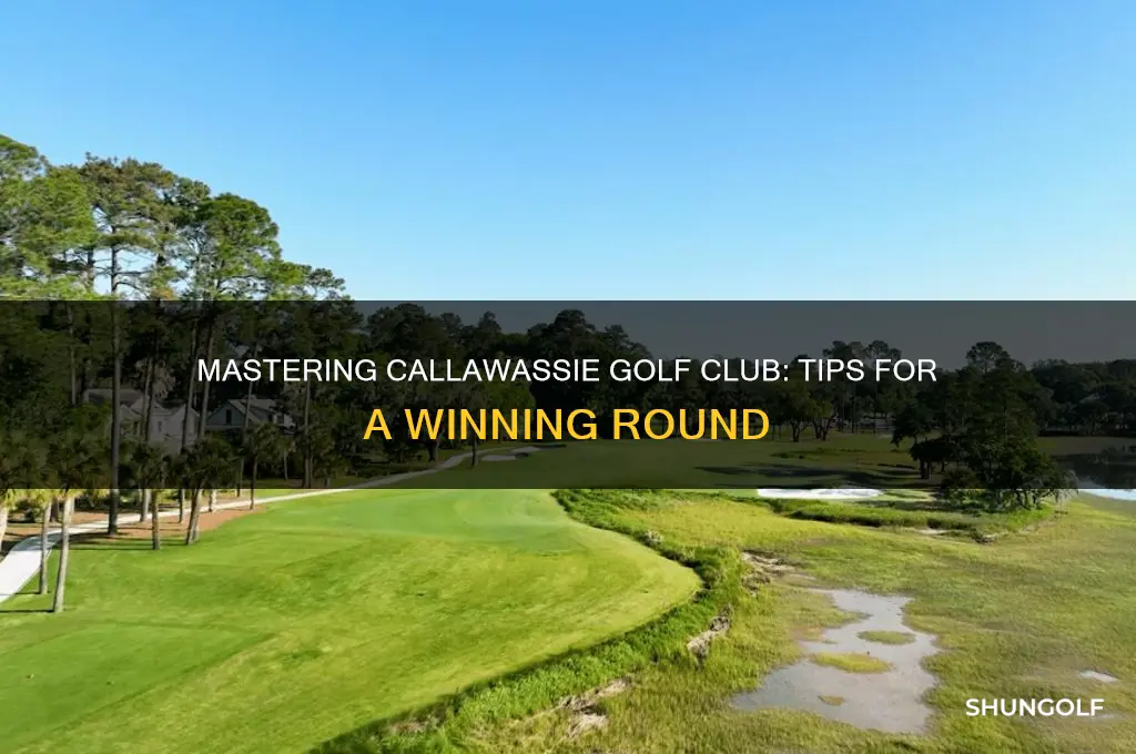 how to play callawassie golf club