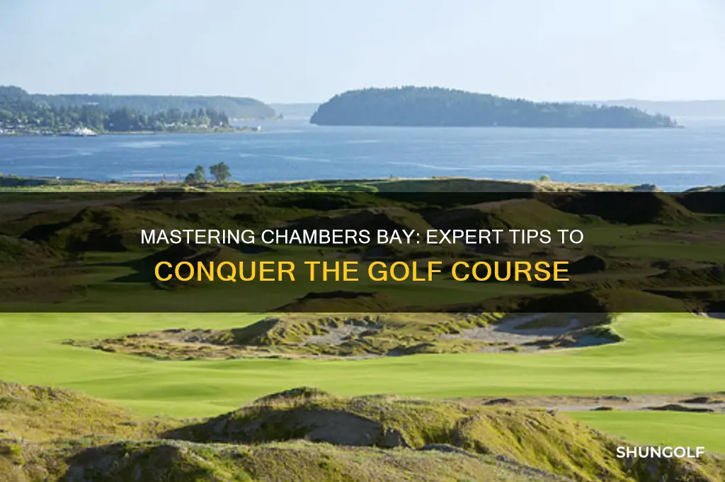 how to play chambers bay golf course