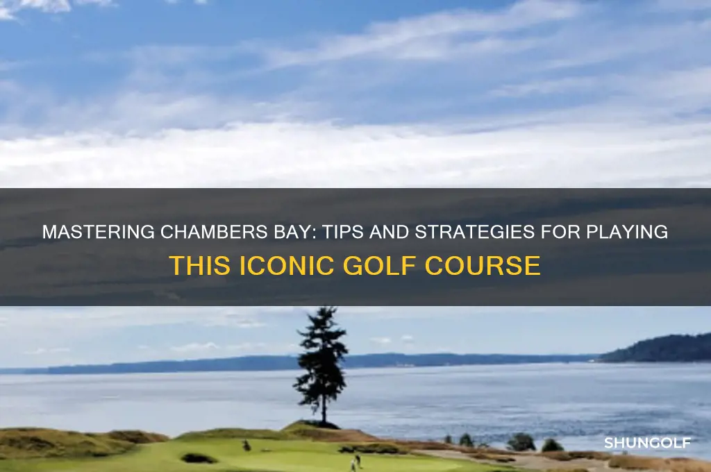 how to play chambers bay golf