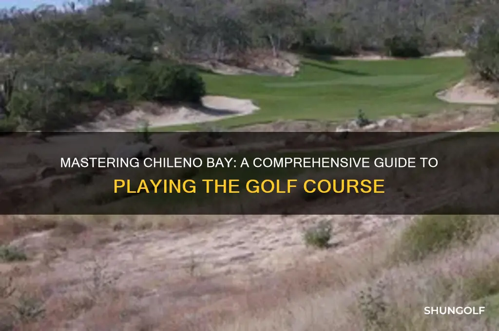 how to play chileno bay golf course